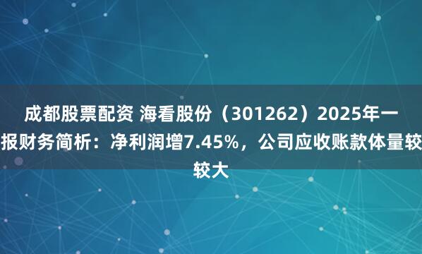 成都股票配资 海看股份（301262）2025年一季报财务简析：净利润增7.45%，公司应收账款体量较大