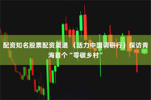 配资知名股票配资渠道 （活力中国调研行）探访青海首个“零碳乡村”